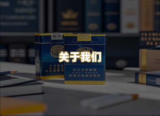 关于我们